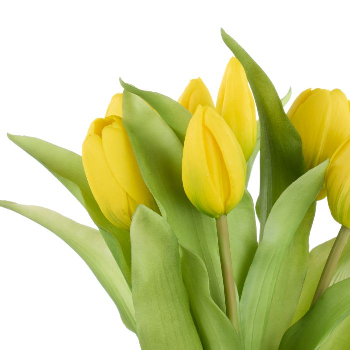 ROGUE TULIP BUNCH YELLOW