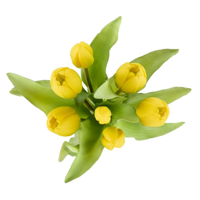 ROGUE TULIP BUNCH YELLOW