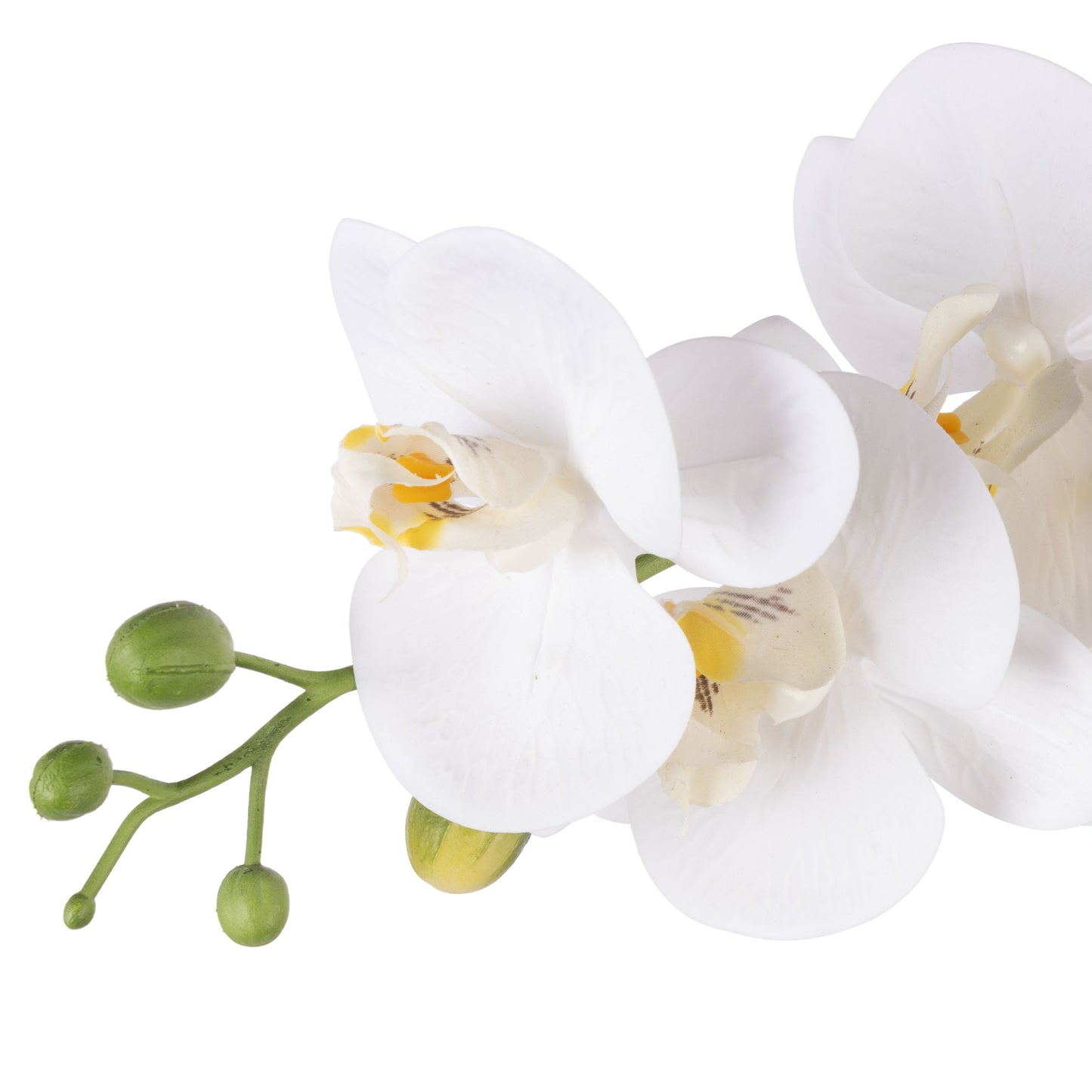 ROGUE PHALAENOPSIS ORCHID POT WHITE