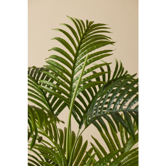 ROGUE ARECA PALM TREE GREEN 96X90X145CM