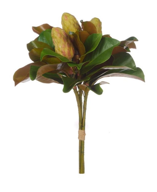 Magnolia Bud Bunch