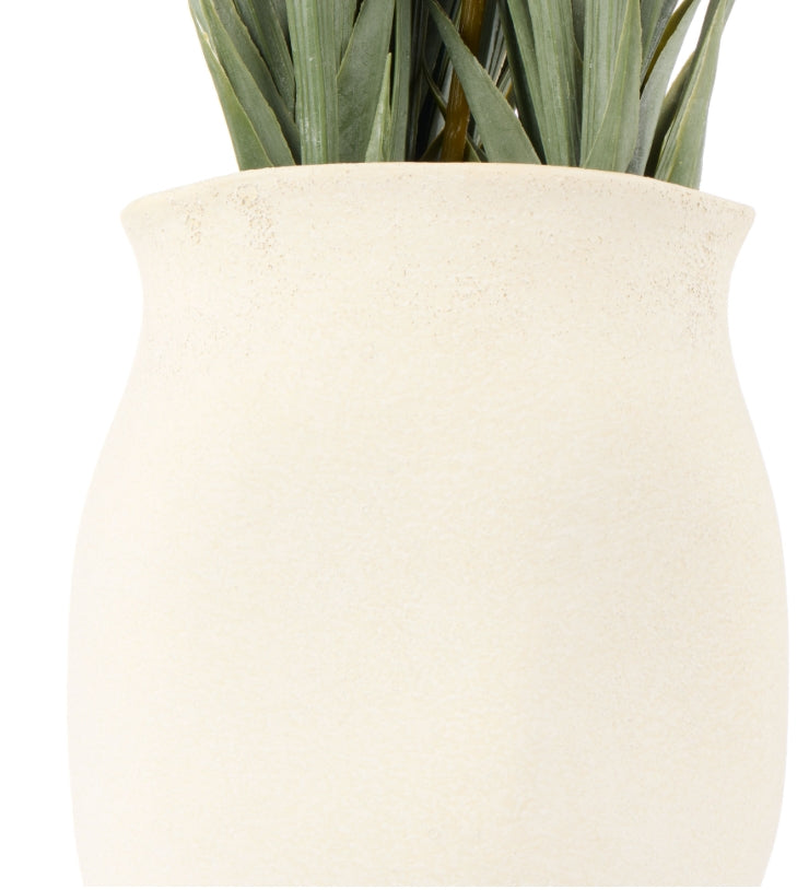 Rogue Kangaroo Paw-Maliah Pot Yellow 35x25x72cm