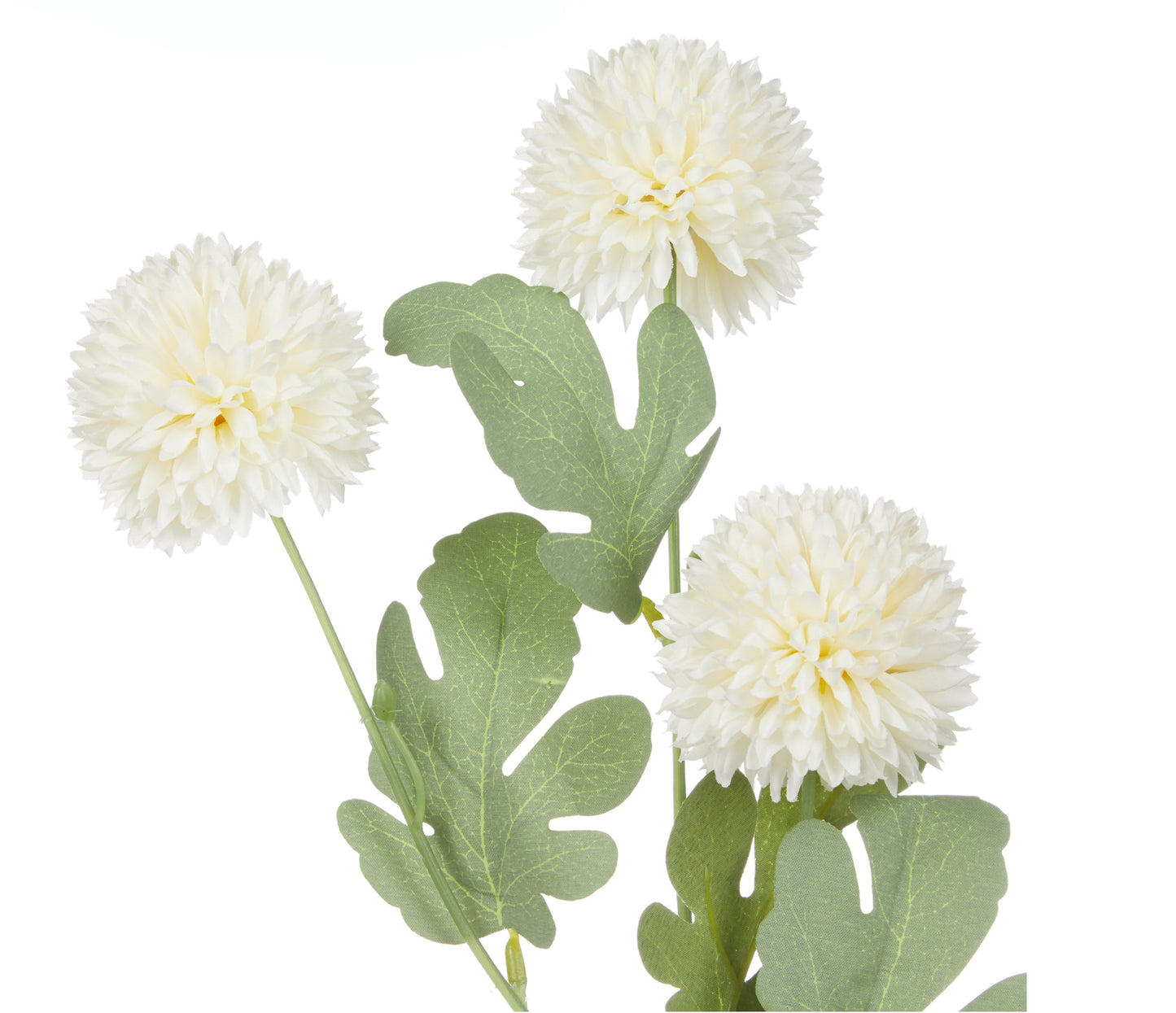 ROGUE KIKU SPRAY IVORY