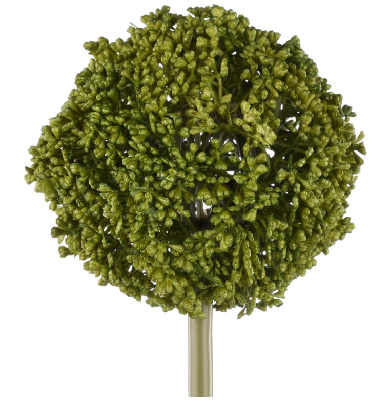 Rogue Allium Spray Green 12x12x76cm