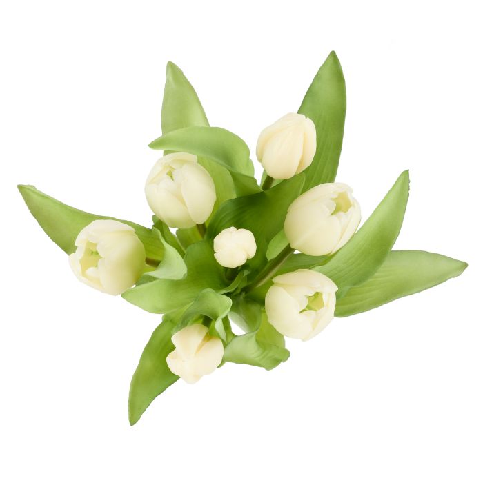 Tulip Bunch Rogue White 20x20x30cm
