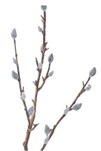 Rogue Pussy Willow Spray Natural