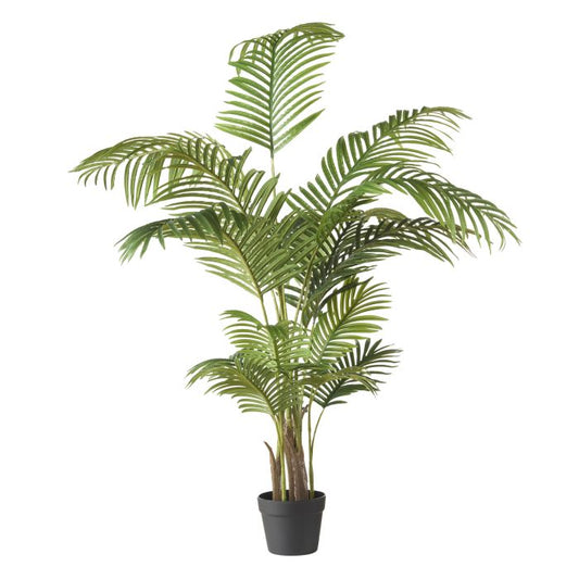 ROGUE ARECA PALM TREE GREEN 96X90X145CM