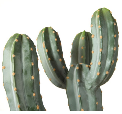 Saguaro Cactus Green
