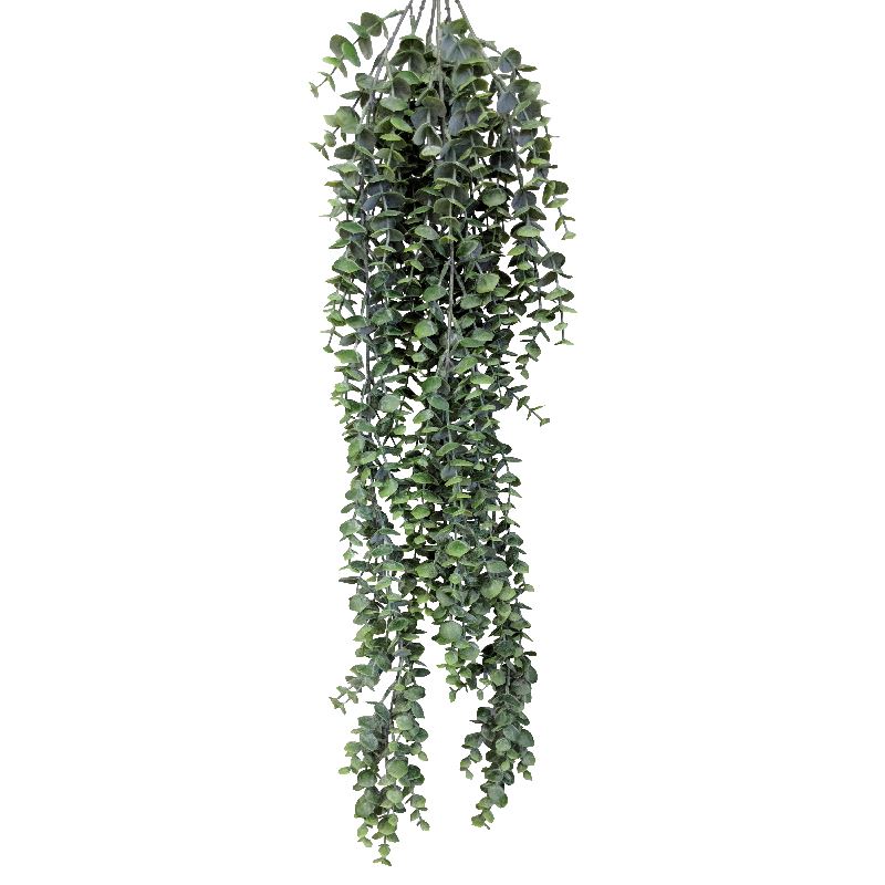 Eucalyptus Hanging Plant