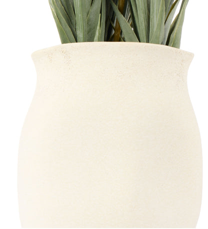 Rogue Kangaroo Paw-Maliah Pot Yellow 35x25x72cm