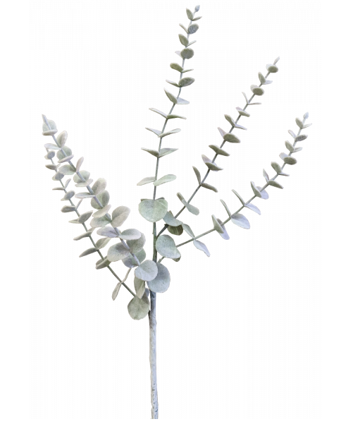 74CM EUCALYPTUS SPRAY