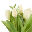 Tulip Bunch Rogue  White 20x20x30cm