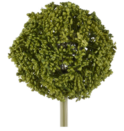 Rogue Allium Spray Green 12x12x76cm