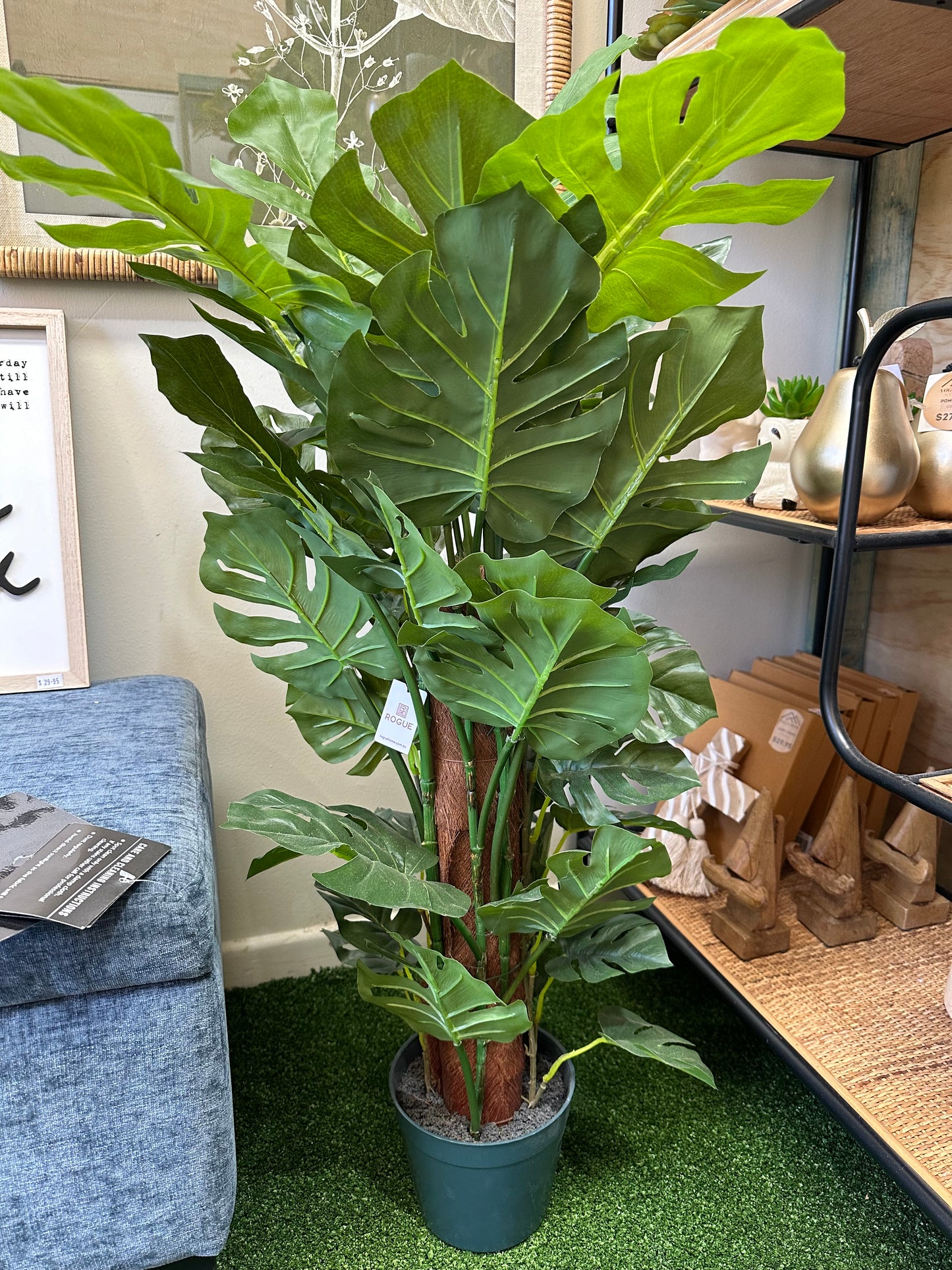 Monstera Totem Plant