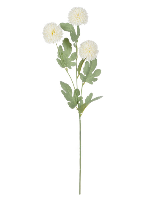 ROGUE KIKU SPRAY IVORY