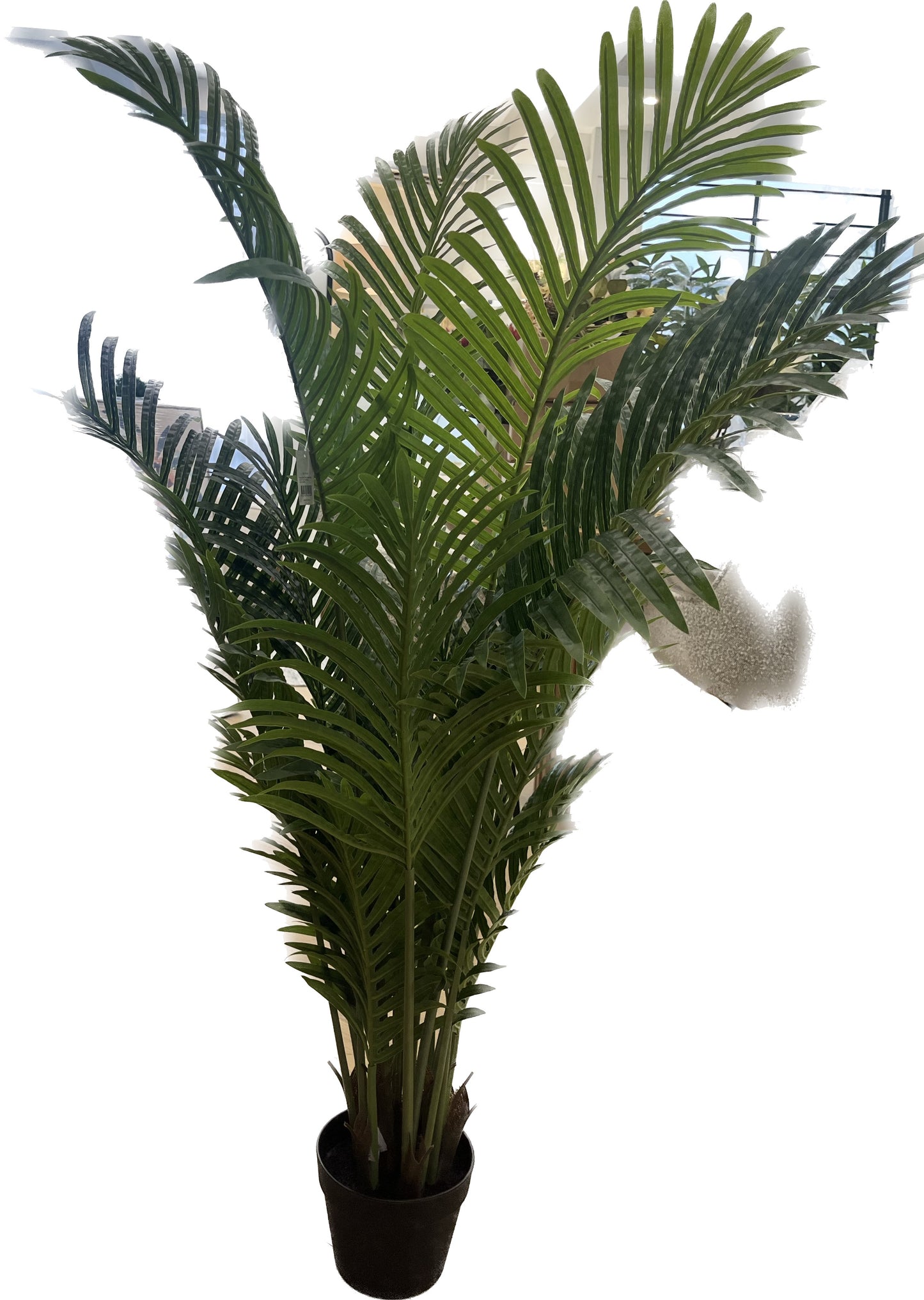 Artificial Palm 4.5ft