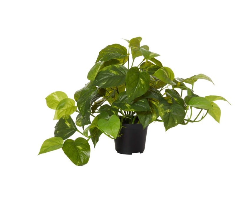 Rogue Pothos-Garden Pot Variegated Artificial Plant