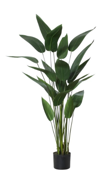 Sky  Bird Plant 120cm