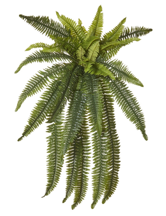 Rogue Boston Wall Fern Green